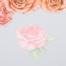 Набор ацетатных высечек на клейкой основе "Розовые розы", 10 шт. (АртУзор)