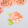 Набор ацетатных высечек на клейкой основе "Розовые розы", 10 шт. (АртУзор)