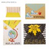 Набор декоративных мини-конвертиков из коллекции Школа-это маленькая жизнь, 4 шт. (АртУзор)