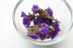 Сухие цветы для стеклянных украшений, цвет Темно-синий (Scrapberry's)   
