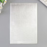 Фоамиран металлизированный, толщина 2 мм, размер листа 20*30 см, цвет Серебро (АртУзор)