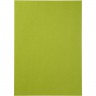 Кардсток тисненый "Рептилия" двусторонний, 250 г/м2, цвет Лайм/Темно-зеленый, формат А4 (Creativ)