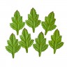 Набор листьев, 7 шт., цвет Зеленый (Scrapberry's)