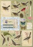 Набор бумаги и листов с высечками "Коллаж" из коллекции "Nature's Gallery" (Papermania) 