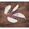 Гипсовые фигурки "Feather" (Перья) в деревянной упаковке, 12 шт. (Prima Marketing)