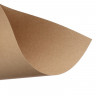 Крафт-бумага, цвет коричневый, плотность 78 г/2, формат А4, 1 лист (Calligrata)