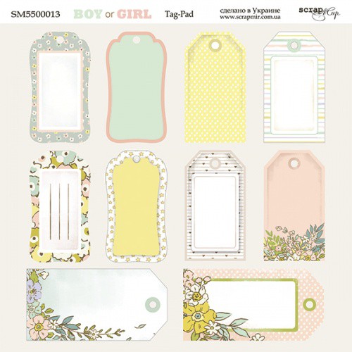 Лист бумаги 20*20 см из коллекции "Boy or Girl" Теги (Скрапмир, Украина)