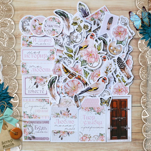 Набор высечек из коллекции "Девичья тайна", 67 штук (ScrapMania)