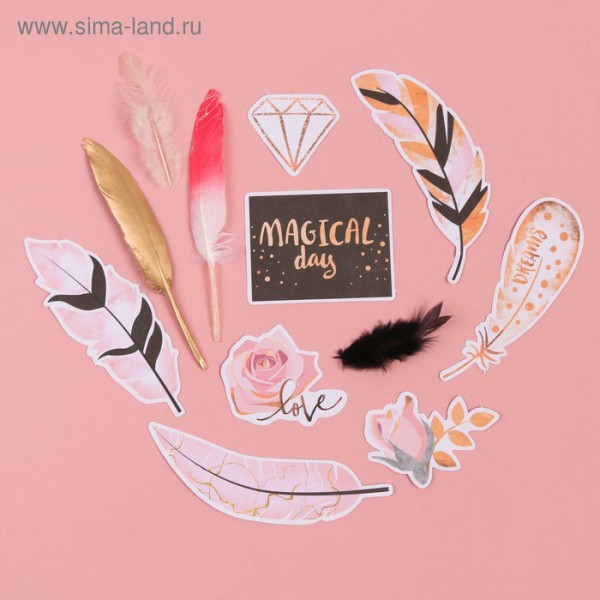 Пёрышки для творчества с декором "Magical Day", 12 элементов (Артузор) 