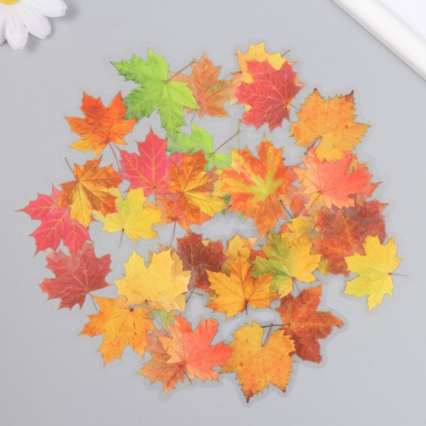 Набор ацетатных высечек на клейкой основе "Кленовые листья", 40 шт. (АртУзор)