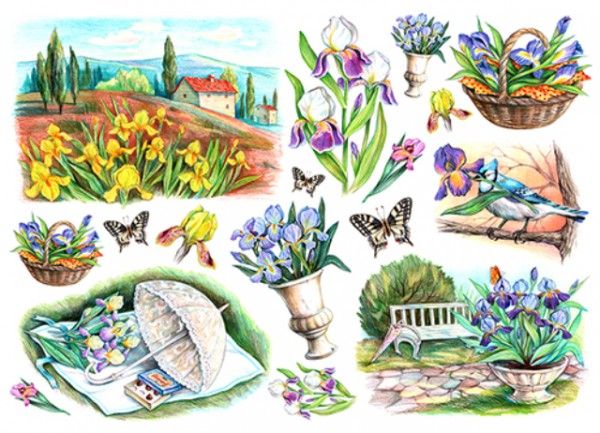 Бумага рисовая для декупажа "Ирисы на закате" формат А3, 1 лист (Craft Premier)