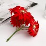 Букет цветов пуансетии, цвет Красный, размер 5 см, 6 штук