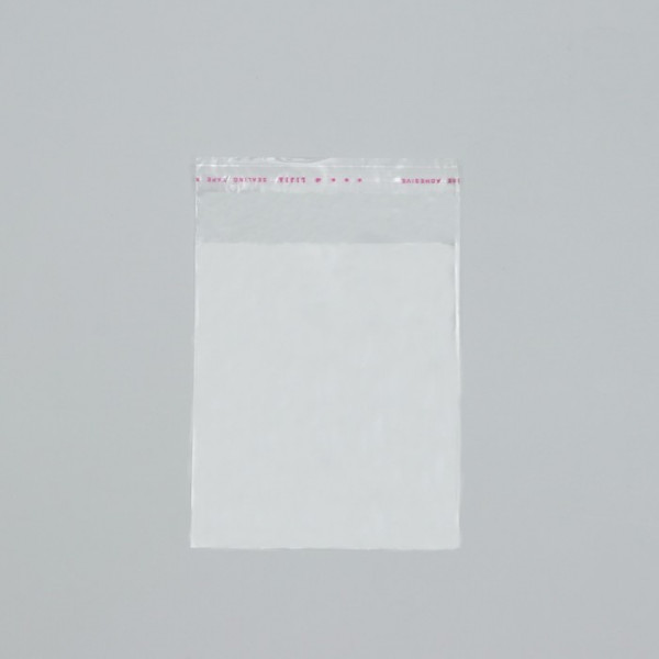 Пакет с липкой лентой 12*14 см, 1 шт