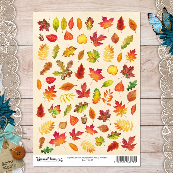 Скрап-карта из коллекции "Школьный вальс" Листья,  А4 (ScrapMania) 