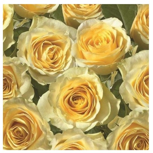 Салфетка 33*33 см из коллекции "На каждый день" Желтые розы, 1 штука (Daisy, Польша) 