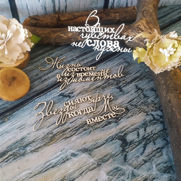 Набор надписей из чипборда "Жизненные фразы" (Арт-студия "Матрёшка")  