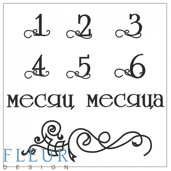 Набор силиконовых штампов Первый год 0-6 из коллекции "Наш малыш" 10,5*10,5 см (FLEUR design) 