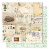Набор бумаги из коллекции "Winter traditions", 10 листов+бонус (Summer Studio, Россия) 
