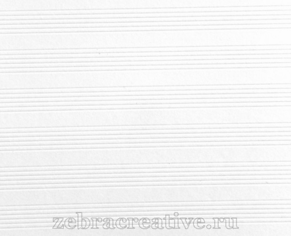 Заготовка для открытки Ривс с тиснением дорожка, цвет Белый, р-р 10*20 см, 1 штука