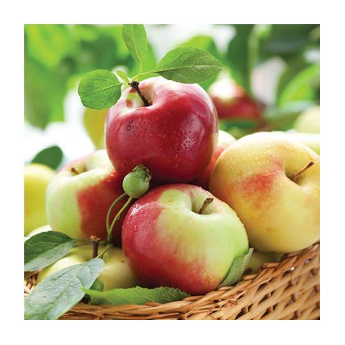 Салфетка 33*33 см "Sunny apples", 1 штука (Paw Decor Collection)