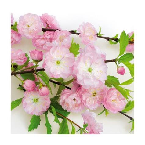 Салфетка 33*33 см "Flowering almond", 1 штука (Paw Decor Collection)