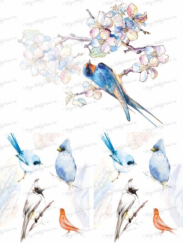 Декупажная карта А4 #838 (My Hobby Point)