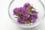 Сухие цветы для стеклянных украшений, цвет Фуксия (Scrapberry's)