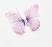 Бабочка шифоновая маленькая, 3 см, цвет Мультиколор сиреневый