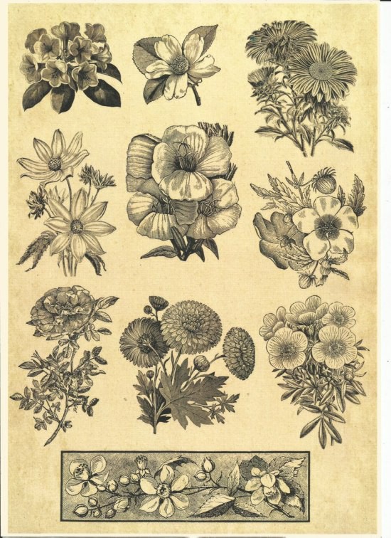 Бумага дизайнерская A4 "Цветы в графике"