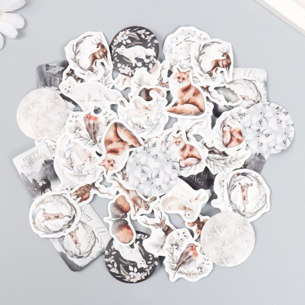 Набор декоративных бумажных наклеек "Волшебная зима", 46 штук (Китай)