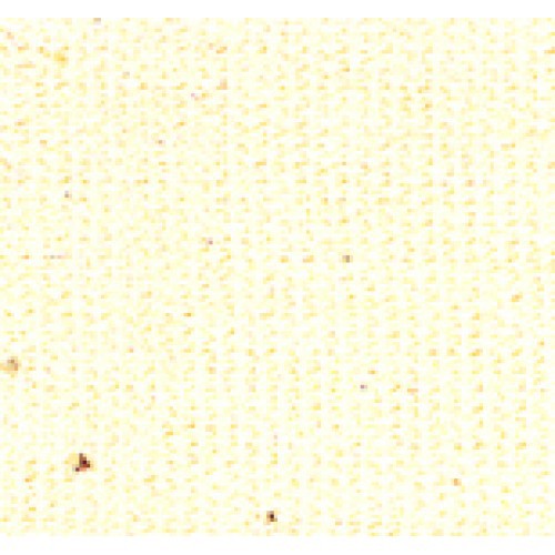 Киперная хлопковая лента однотонная, цвет Слоновая кость, ширина 14 мм, 2.5 метра (Safisa, Испания)