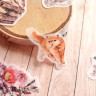 Набор высечек из веллума из коллекции "Волшебник", 62 штуки (ScrapMania) 