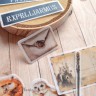 Набор высечек из веллума из коллекции "Волшебник", 62 штуки (ScrapMania) 