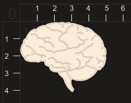 Фигурка из чипборда "Мозг" из коллекции Анатомия 