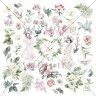 Набор бумаги из коллекции "Blooming Day", 10 листов+бонус (Summer Studio, Россия)