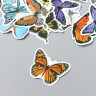 Набор декоративных бумажных наклеек "Нашествие бабочек", 50 штук (Китай)