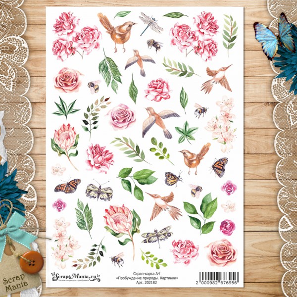 Скрап-карта из коллекции "Пробуждение природы" Картинки, А4 (ScrapMania)