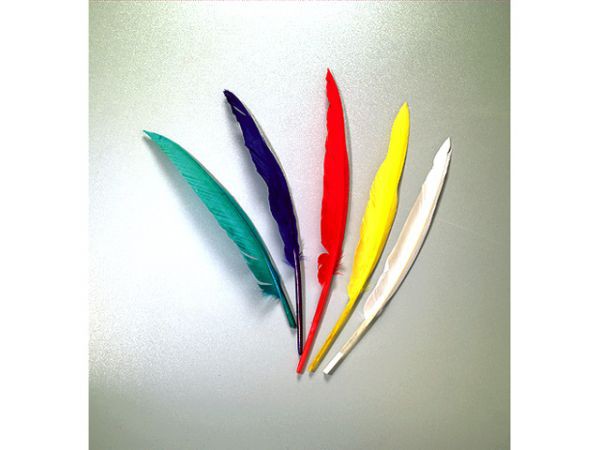 Перья индейские Разноцветные длинные, 25-30 см, 6 шт. (Knorr Prandell)