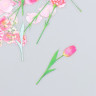 Набор ацетатных высечек на клейкой основе "Цветы. Розовый румянец", 30 шт. (АртУзор)