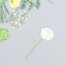 Набор ацетатных высечек на клейкой основе "Цветы. Густой зелёный", 30 шт. (АртУзор)
