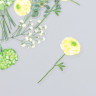Набор ацетатных высечек на клейкой основе "Цветы. Густой зелёный", 30 шт. (АртУзор)