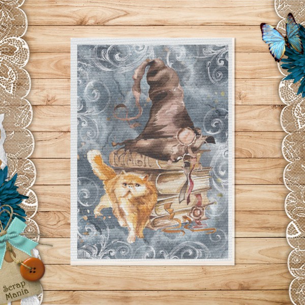 Тканевая карточка из коллекции "Волшебник" Шляпа (ScrapMania)  