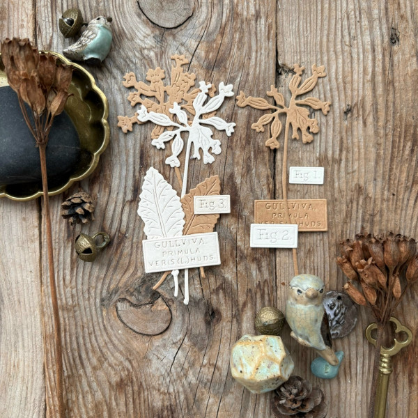 Набор ножей для вырубки "Примула", 7 шт. (MiMiCut, Россия)