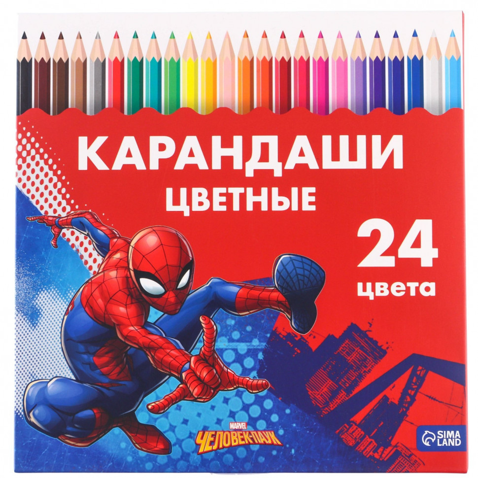 Набор цветных карандашей "Человек-паук", трехгранные, 24 цвета (АртУзор) 