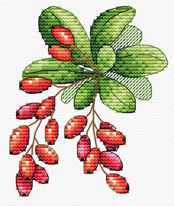 Набор для вышивки на канве Aida "Барбарис" (М.П. Студия, "Жар-птица")