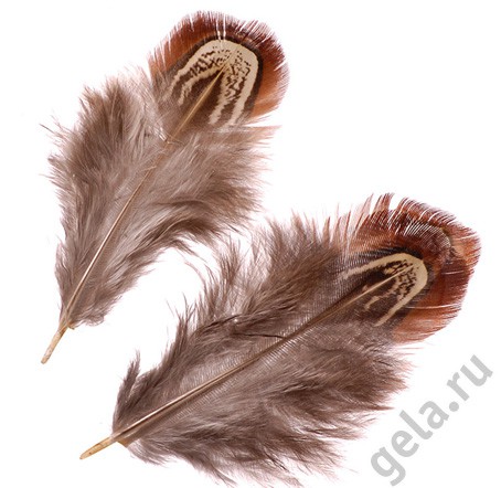 Набор декоративных перьев, перо Фазана, 3-9 см, 1.5 г (Knorr Prandell)