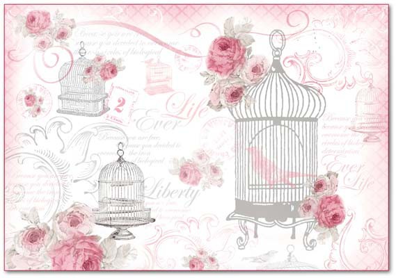 Бумага рисовая для декупажа "La Vie en Rose Cages" 48*33 см, 1 лист (Италия) 