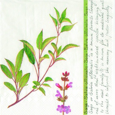 Салфетка 33*33 см "Шалфей", 1 штука (IHR)    