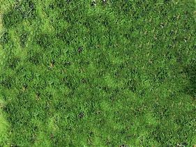 Полотно декоративное "Травяной ковер" 32*32 см