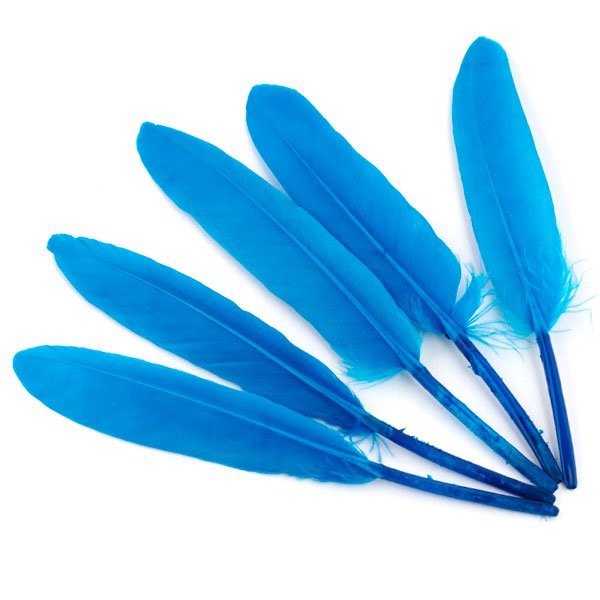 Перо декоративное, 5 штук, цвет Бирюзовый